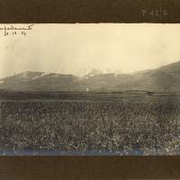 Bombardamento del 30 ottobre 1904