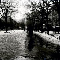 Corso Torino. Nevicata (taglio)